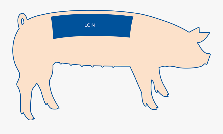 Part Of The Pig Is Pork Loin, Transparent Clipart