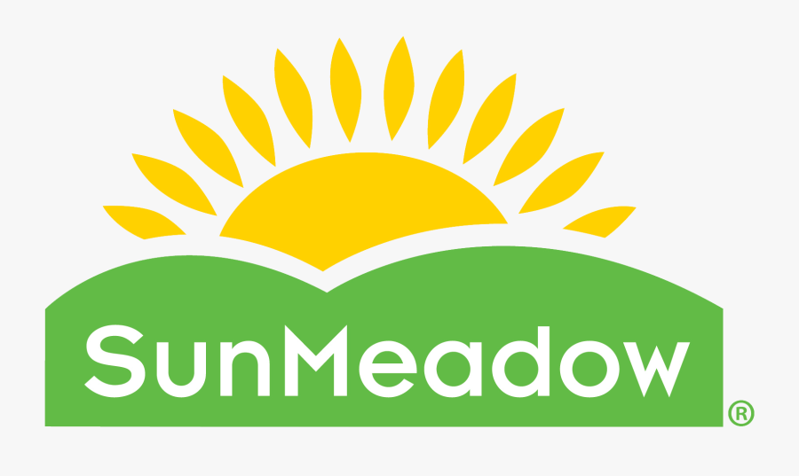 Graphic Design, Transparent Clipart