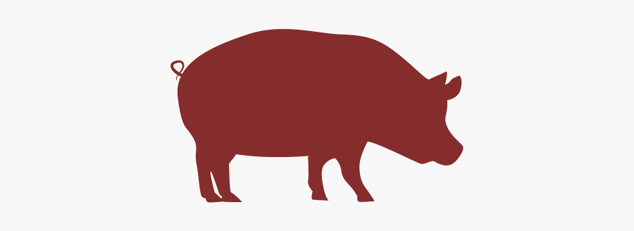 Domestic Pig, Transparent Clipart