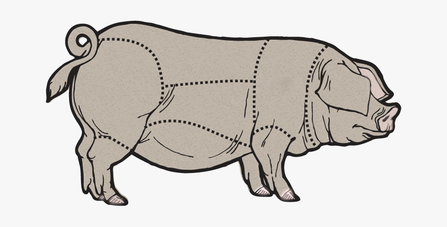 Indian Rhinoceros, Transparent Clipart
