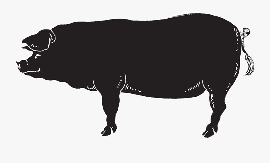 Bull, Transparent Clipart