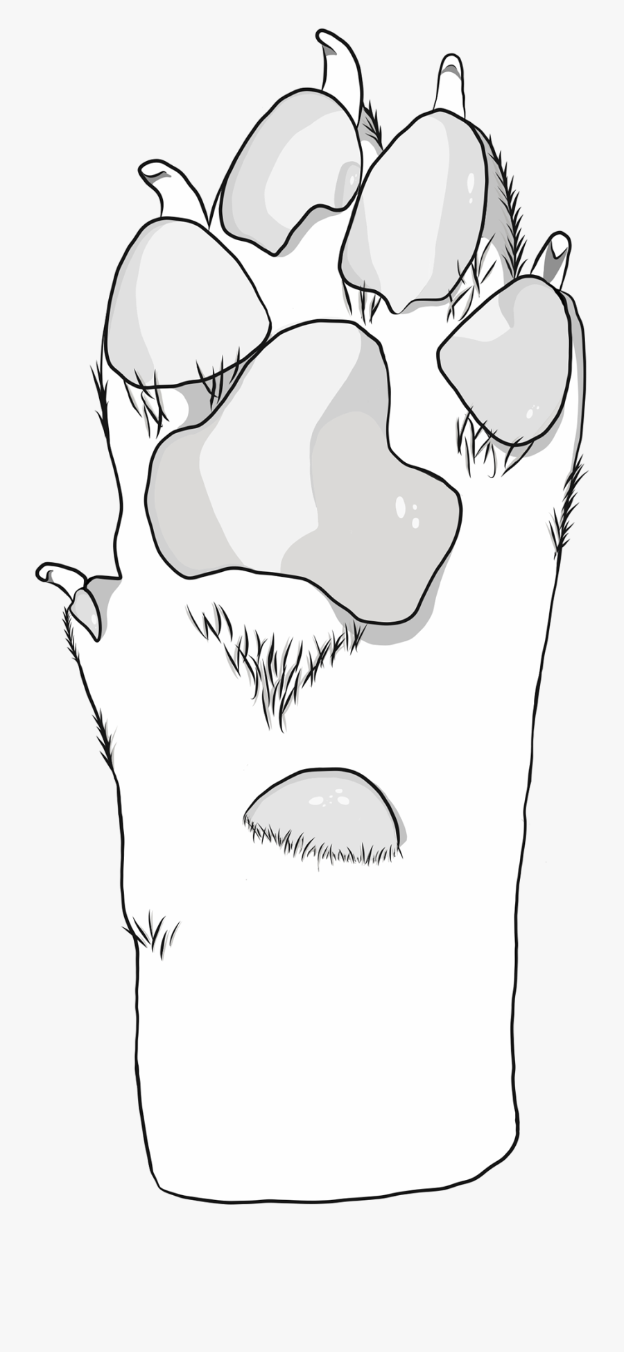 Illustration, Transparent Clipart