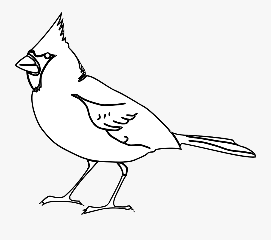 Bird, Cardinal, Songbird, Beak, Tuft, Nature, Wildlife - Cardinals Birds Clip Art, Transparent Clipart