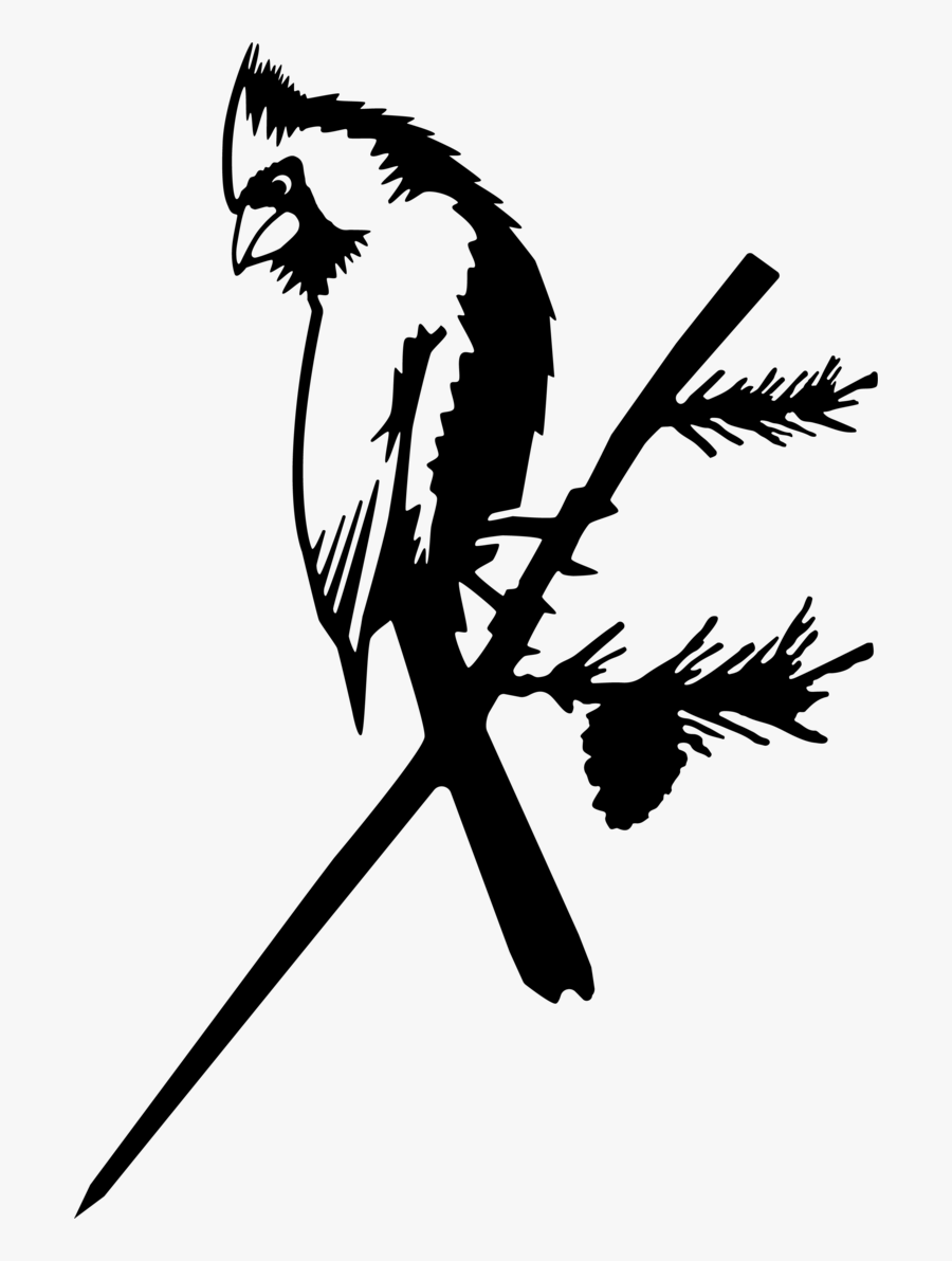 The Cardinal - Metalbird Usa - Illustration, Transparent Clipart