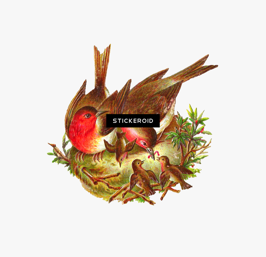 Birds In Nest Png, Transparent Clipart
