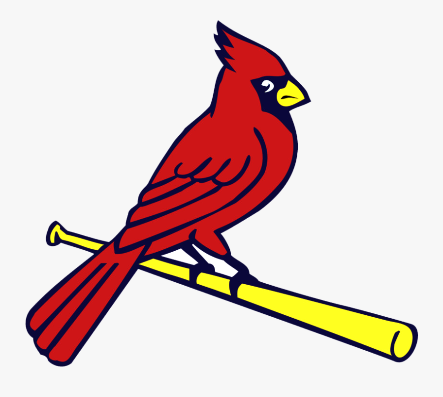Download 28+ Free St Louis Cardinals Svg Files PNG Free SVG files ...