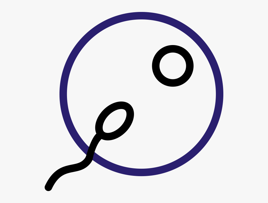 Intracytoplasmic Sperm Injection Icon, Transparent Clipart