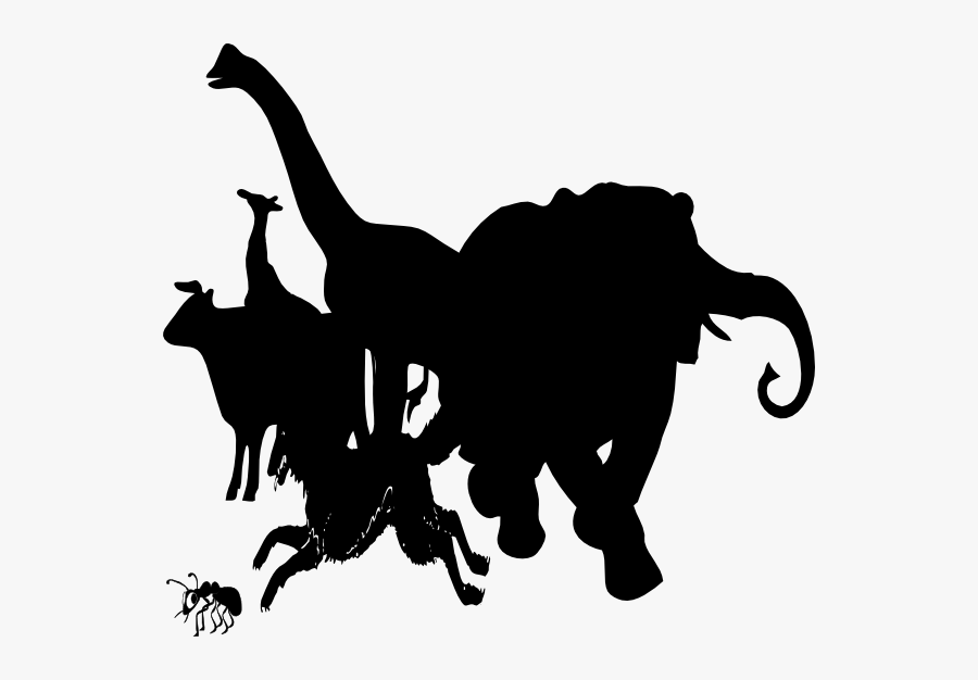 Stegosaurus Vector Skeleton - Ant Clip Art, Transparent Clipart