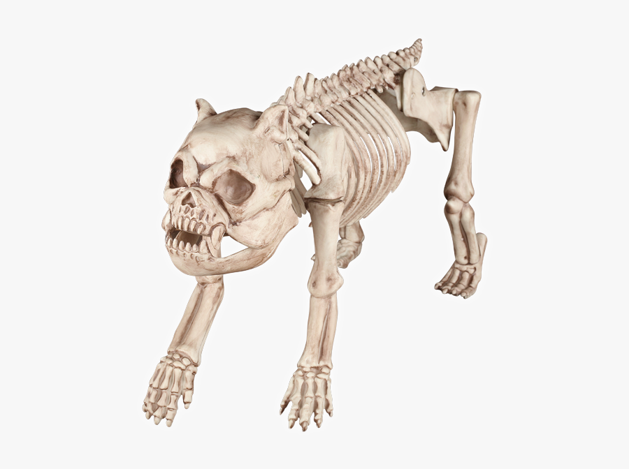 Animal Skeleton Png - Skeleton Dog Transparent, Transparent Clipart