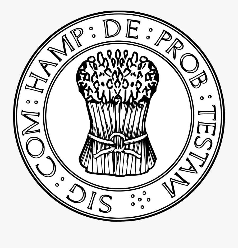 Circle, Transparent Clipart