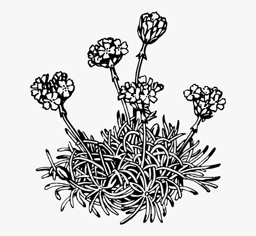 Monochrome - Illustration, Transparent Clipart