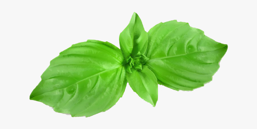 Clip Art Cartoon Mint Leaf - Mint Cartoon, Transparent Clipart
