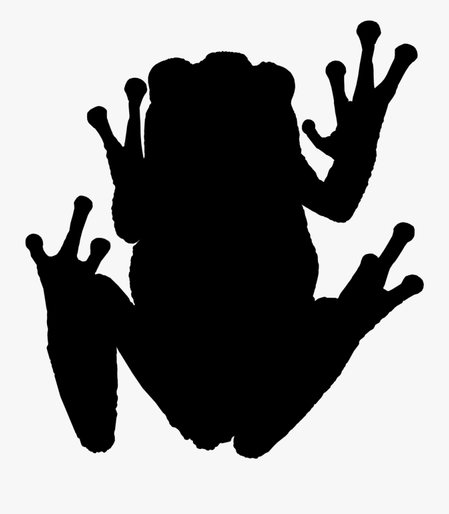Silhouette Of A Tree Frog By Bufothetoad1 - Tree Frog Silhouette, Transparent Clipart