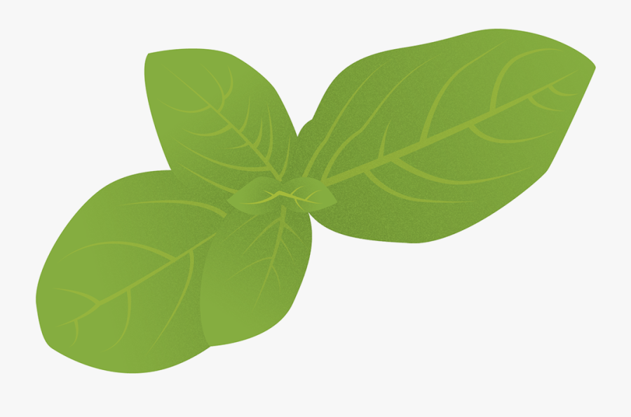 Illustration, Transparent Clipart