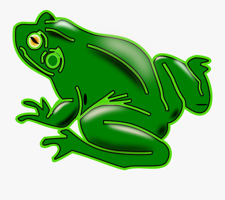Frog, Amphibian, Tree Frog, Green, Animal, Shiny - Vector Kodok Png, Transparent Clipart
