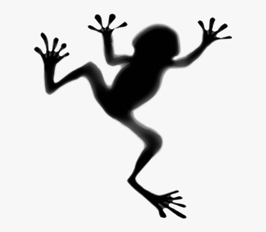 Toad Tree Frog Tattoo Panamanian Golden Frog - Shadow Of A Frog, Transparent Clipart