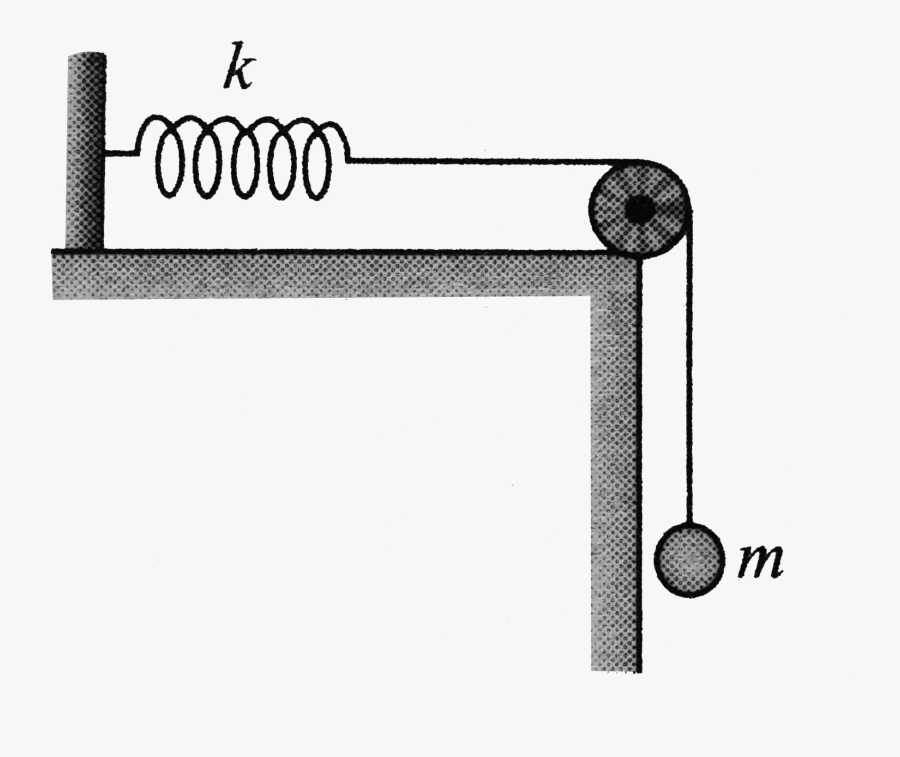 Circle, Transparent Clipart