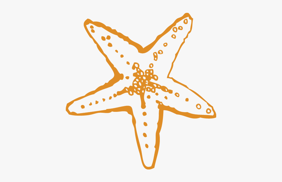 Starfish, Transparent Clipart