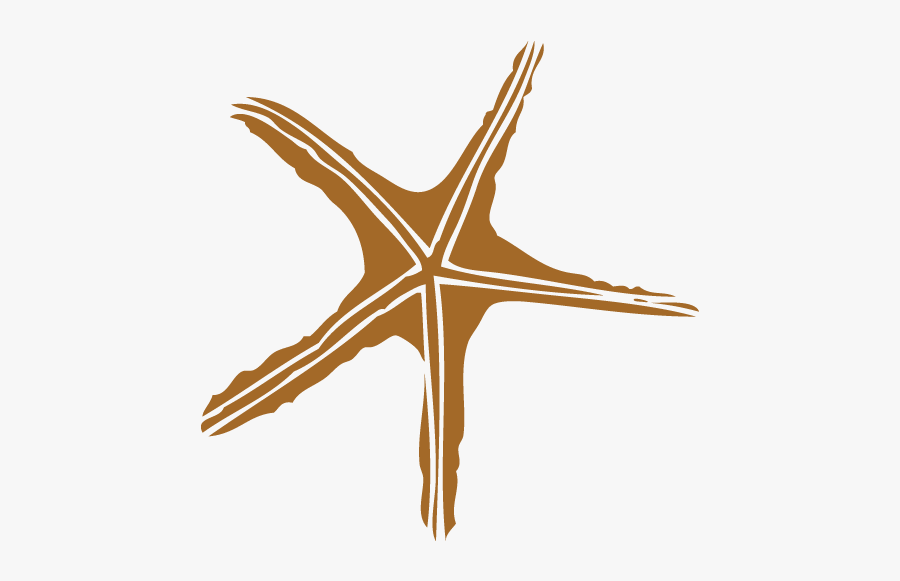 Starfish, Transparent Clipart