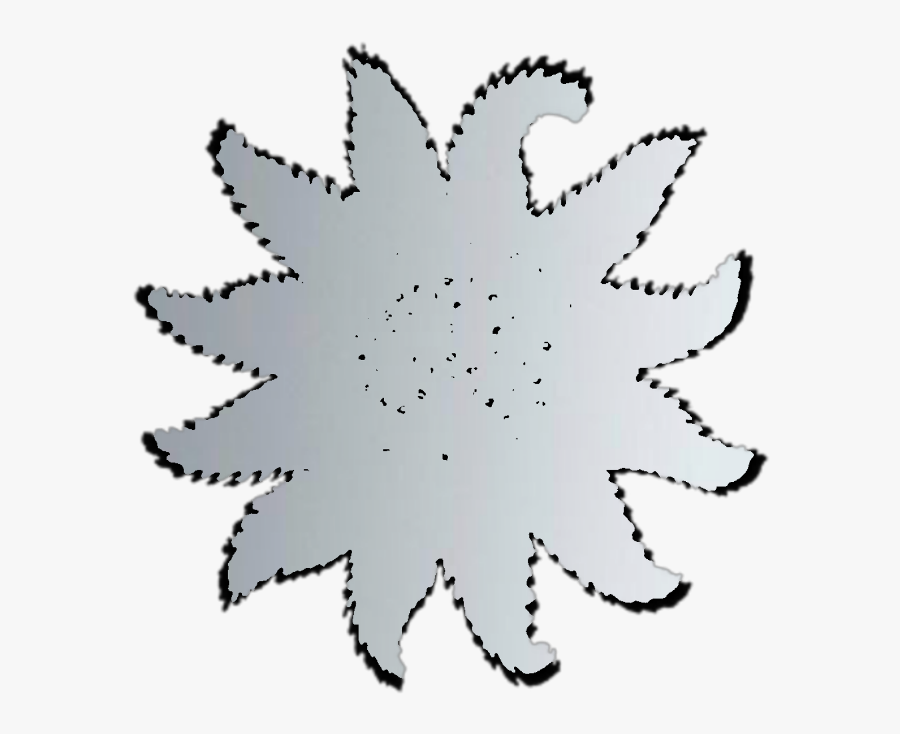 #seastar - Line Art, Transparent Clipart