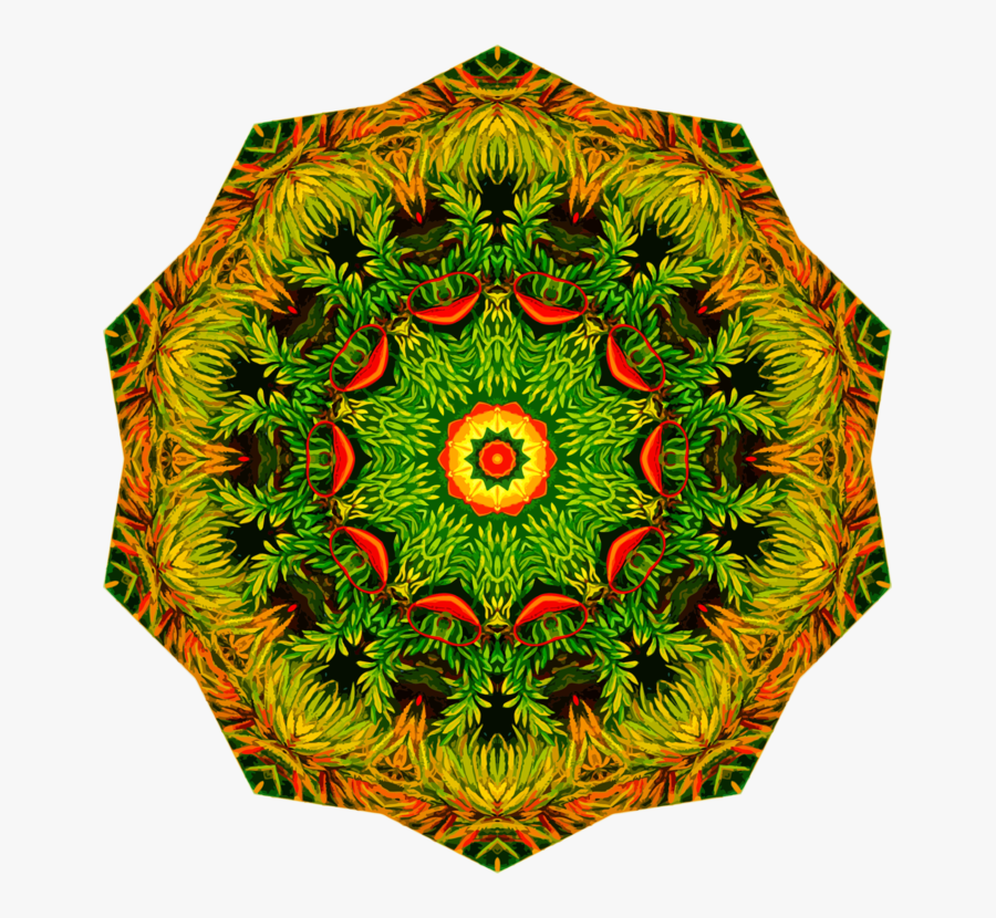 Plant,leaf,symmetry - Father's Day Cookies Cake, Transparent Clipart