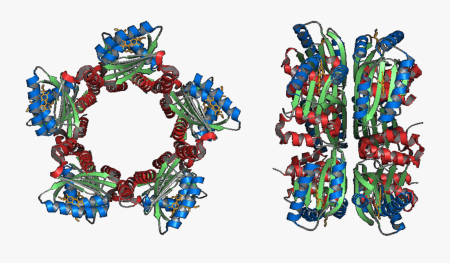 Illustration, Transparent Clipart