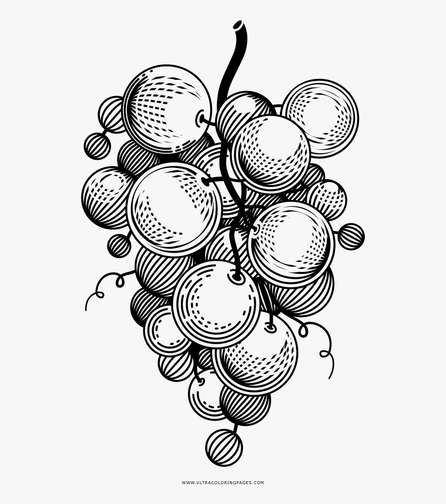 Grapes Coloring Page - Png Black And White Grapes, Transparent Clipart