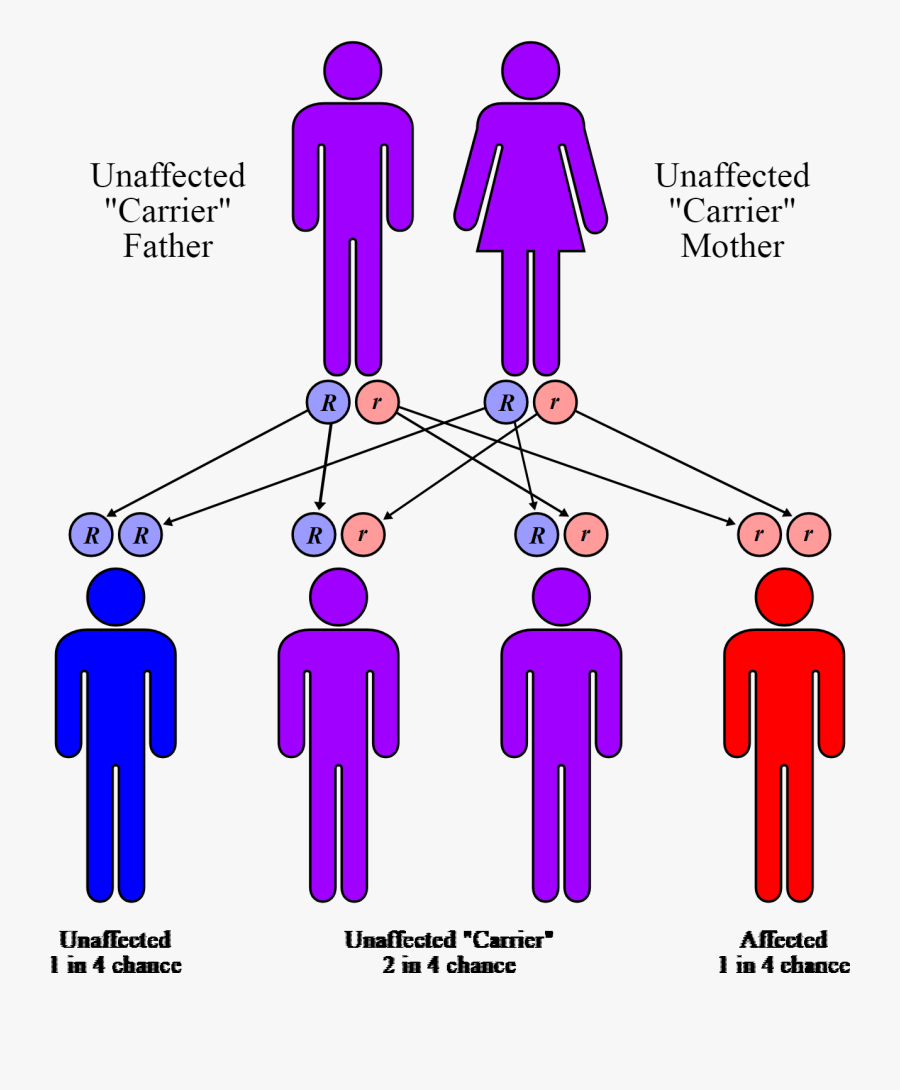 Clip Art What Is Thalassemia Steemit - Kentucky Blue People, Transparent Clipart