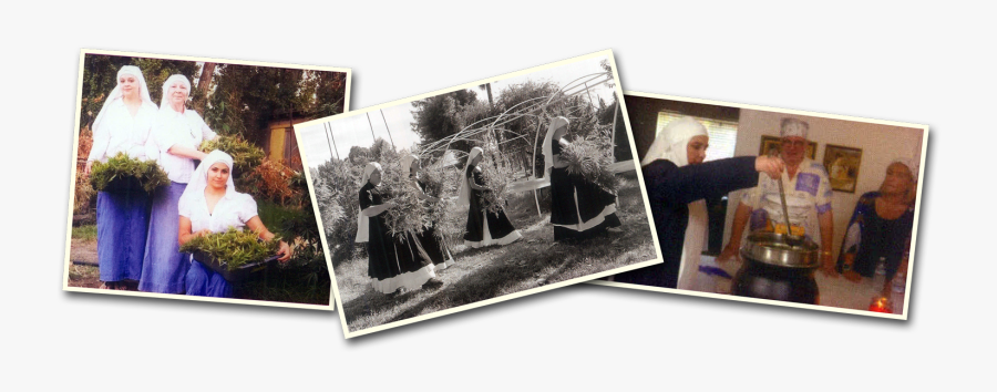 Art Gallery, Transparent Clipart