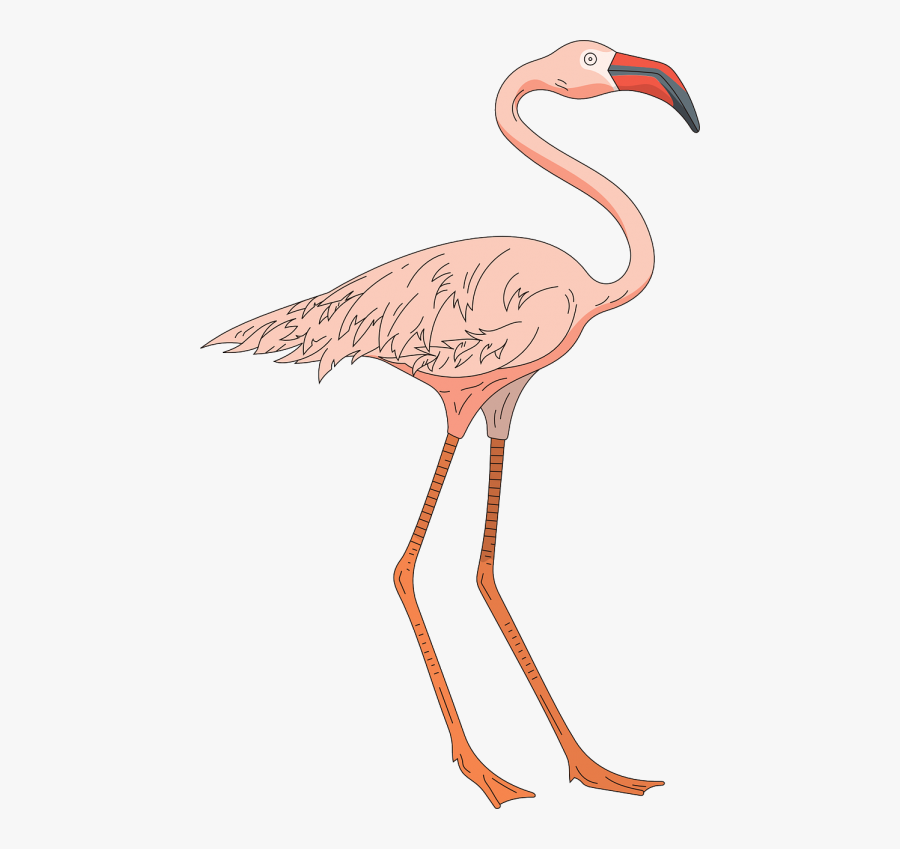 Cartoon Flamingo Legs, Transparent Clipart