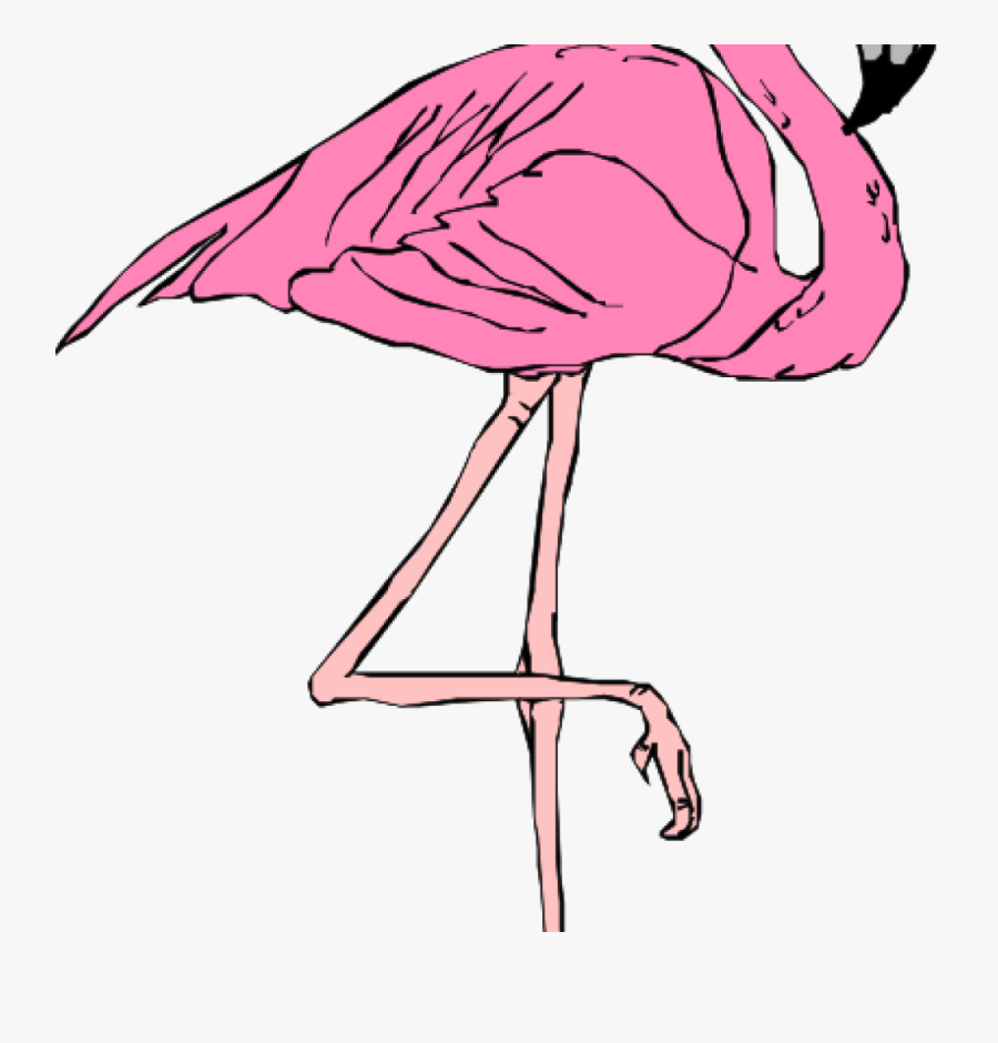 Flamingo Roblox Drawings