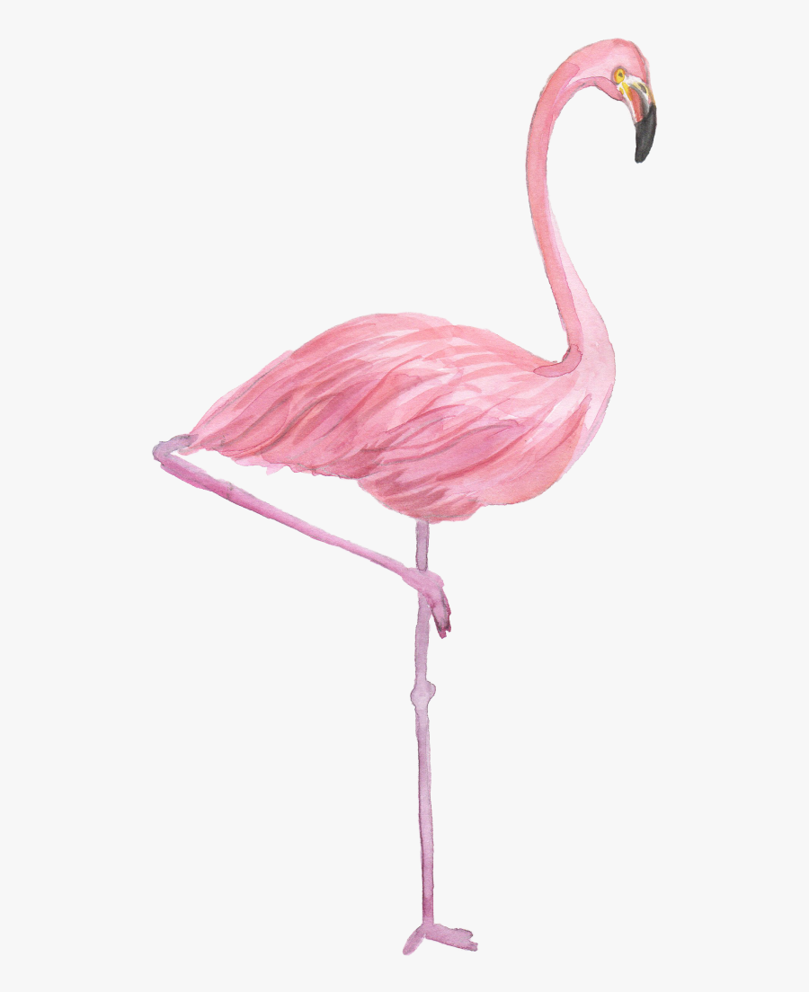 Flamingo Drawing Watercolor Painting - Transparent Watercolor Flamingo Png, Transparent Clipart