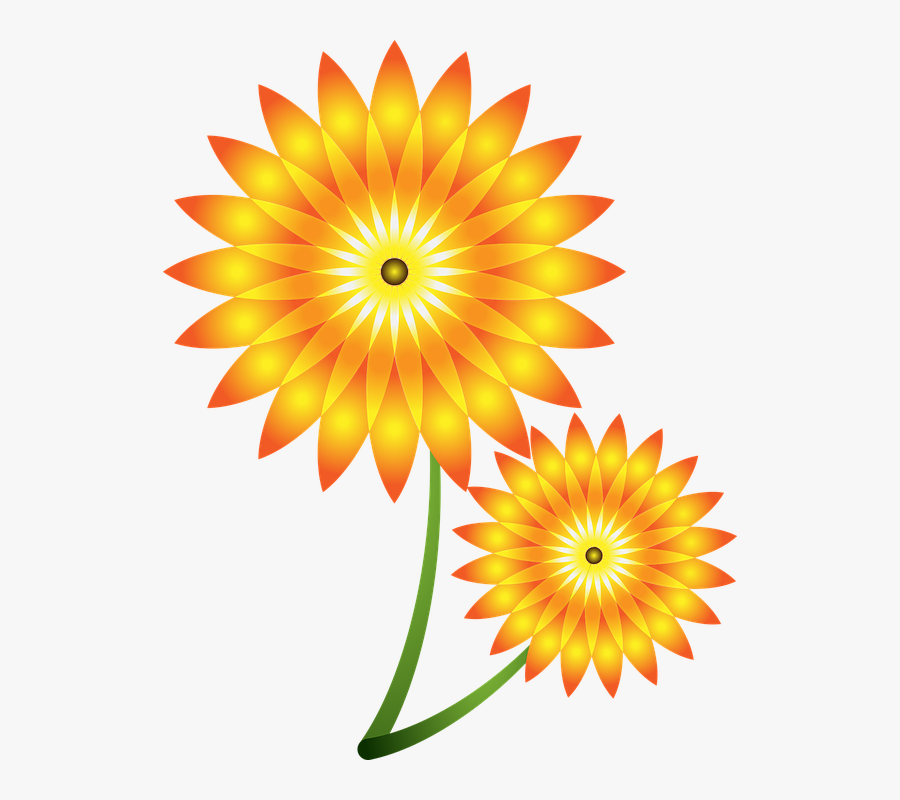 Sunflowers, Vector, Flower, Summer, Natural, Design - Kwiat Png, Transparent Clipart