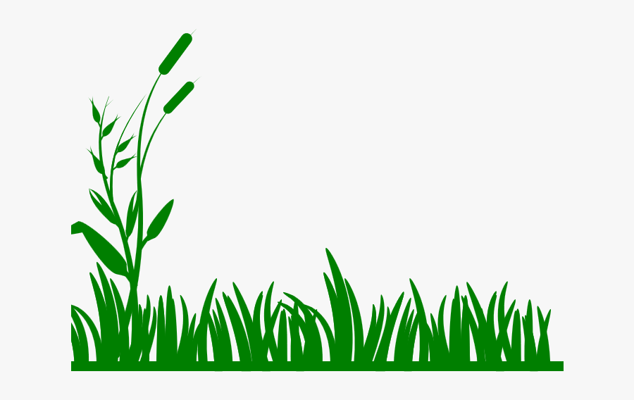 Backyard Bible School - Clipart Grass Border, Transparent Clipart