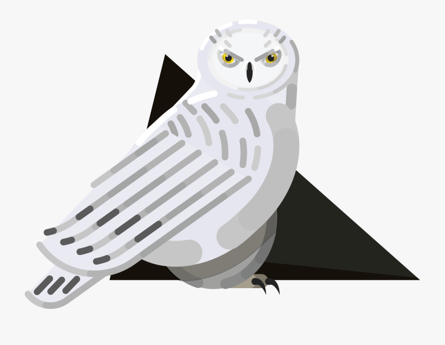 Snowy Owl, Transparent Clipart