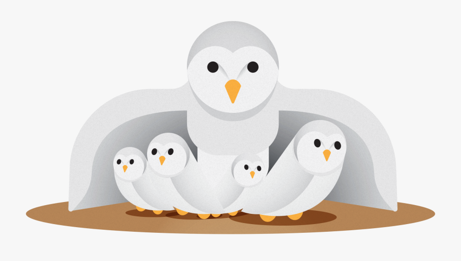 Owl Protecting Her Owlets, Transparent Clipart