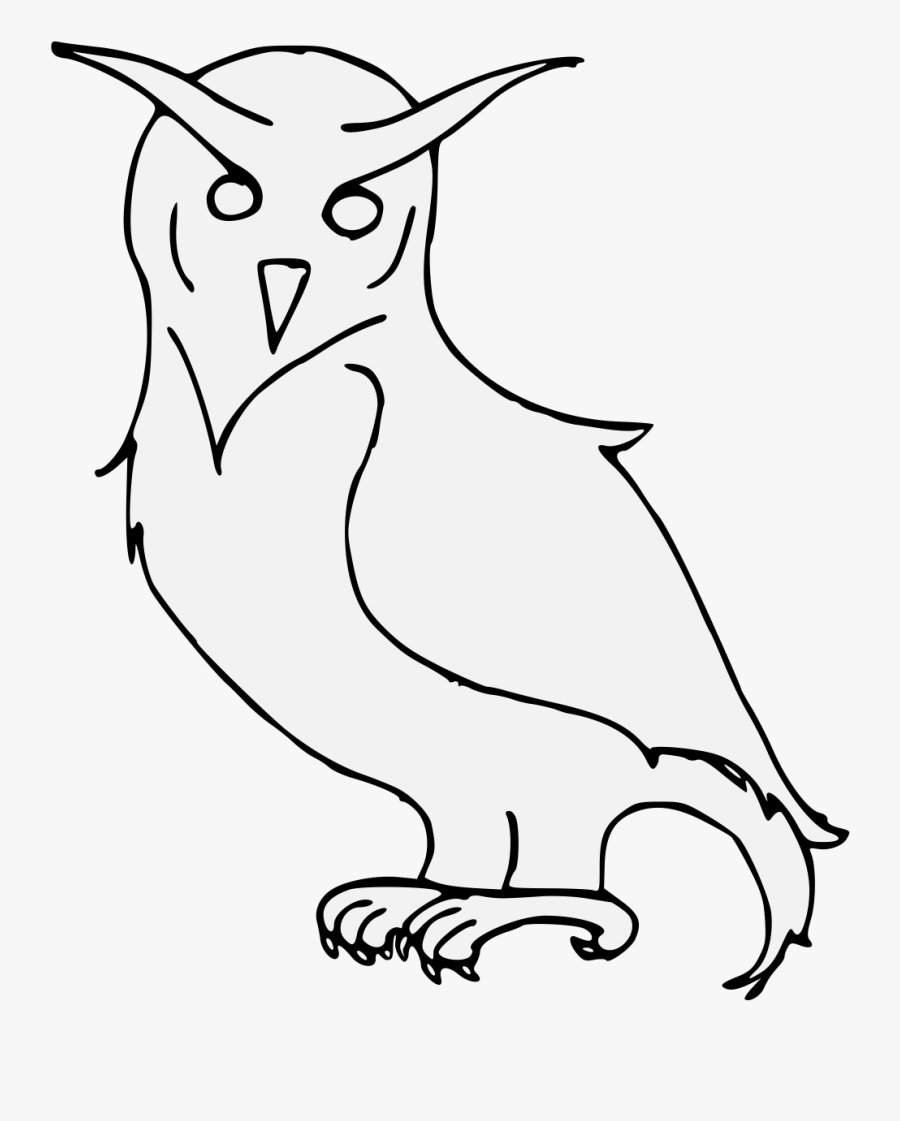 Owl, Transparent Clipart