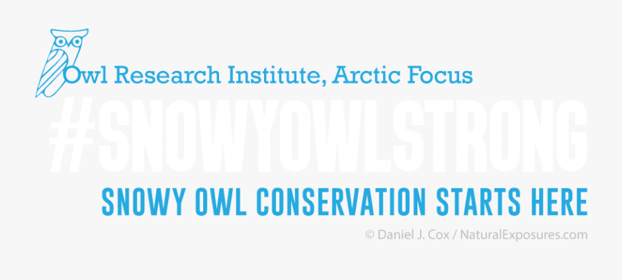 Undercover Cop, Transparent Clipart