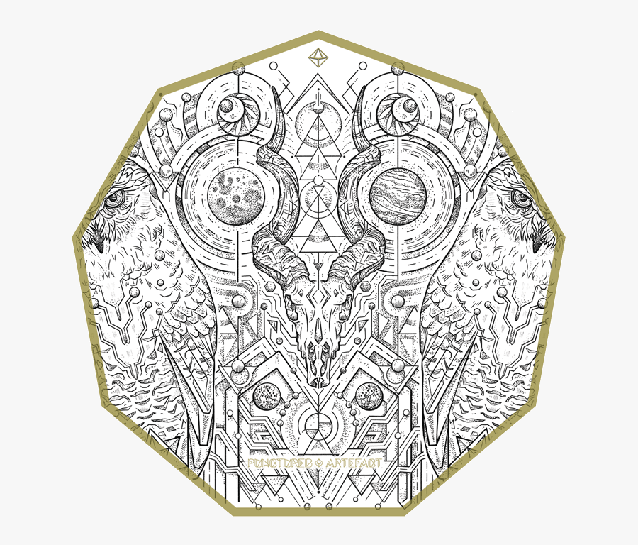 Snowyowls2-wb - Circle, Transparent Clipart