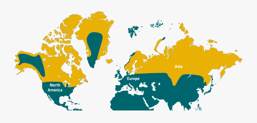 Flat World Map Png, Transparent Clipart
