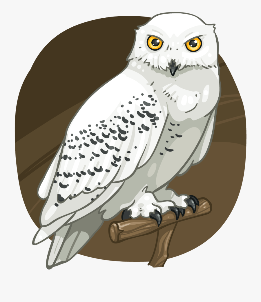 Snowy Owl, Transparent Clipart