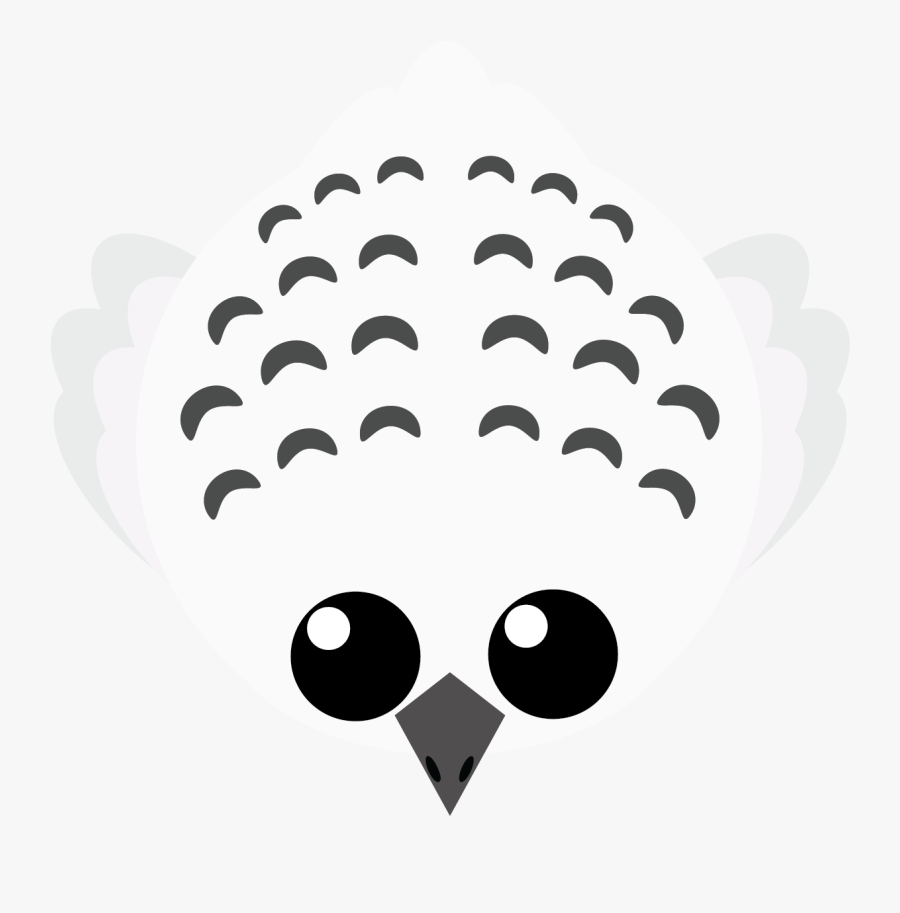 Transparent White Owl Png - Cartoon, Transparent Clipart