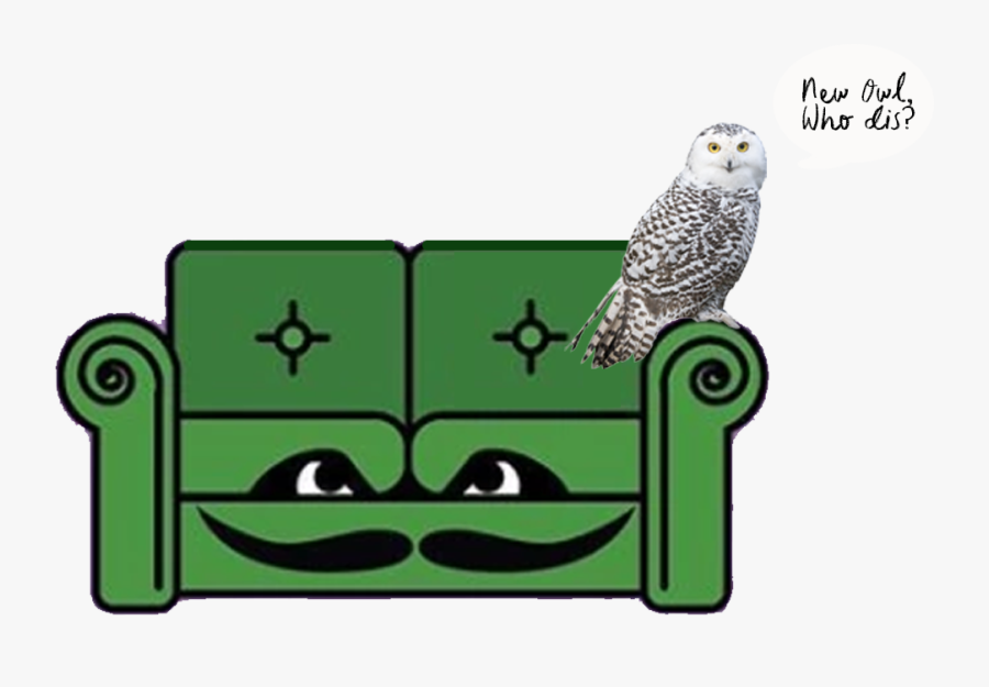 Couch - Snowy Owl, Transparent Clipart