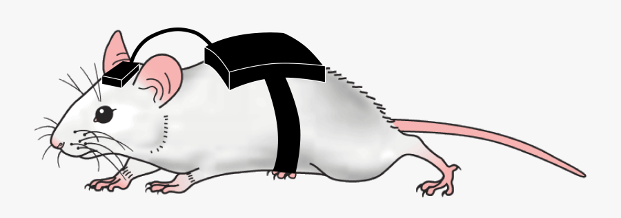 Mouse Clip Art, Transparent Clipart