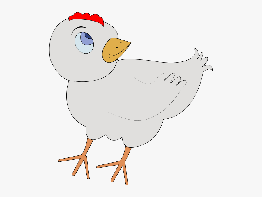 Chicken, Transparent Clipart