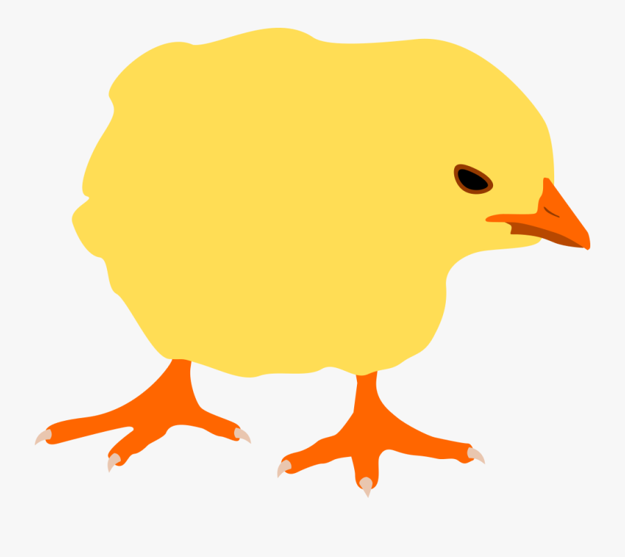 Chicken, Transparent Clipart