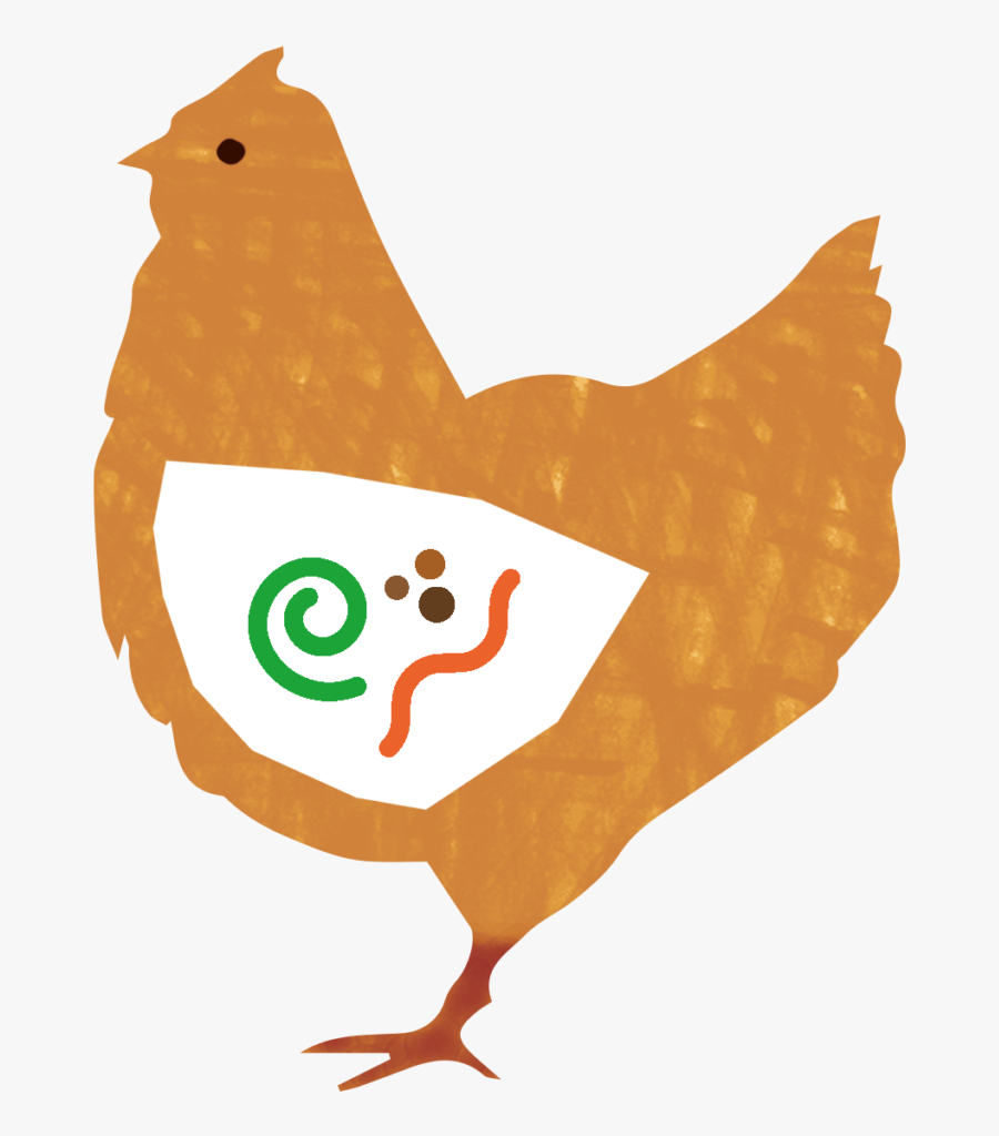 Egg Clipart Chook - Rooster, Transparent Clipart