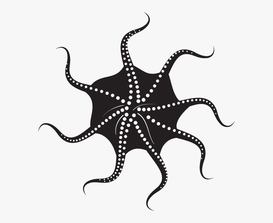 Octopus Vector, Transparent Clipart