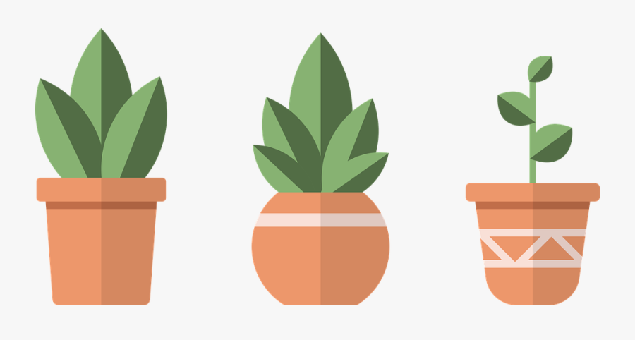 Pots, Plants, Green, Nature, Pot, Design, Flower - Illustration, Transparent Clipart