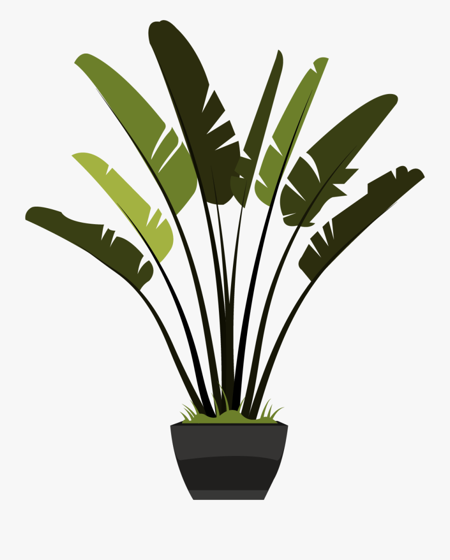 Flowerpot, Transparent Clipart